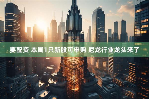 要配资 本周1只新股可申购 尼龙行业龙头来了