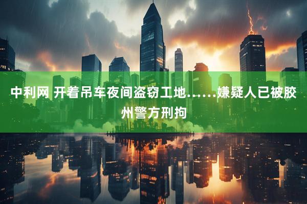 中利网 开着吊车夜间盗窃工地……嫌疑人已被胶州警方刑拘