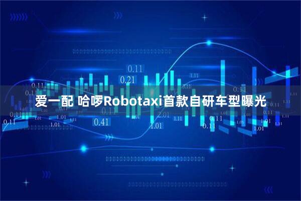 爱一配 哈啰Robotaxi首款自研车型曝光