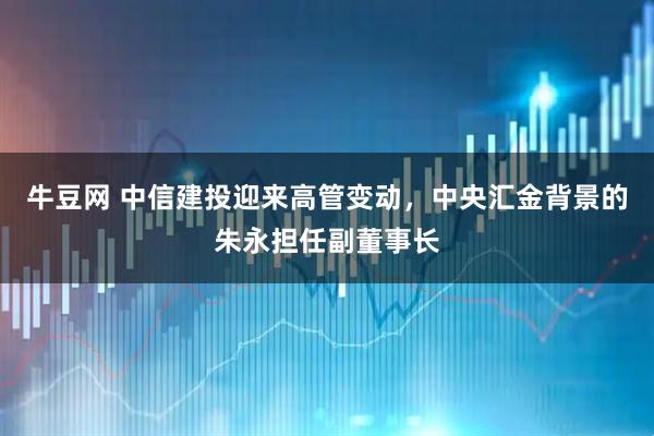 牛豆网 中信建投迎来高管变动，中央汇金背景的朱永担任副董事长