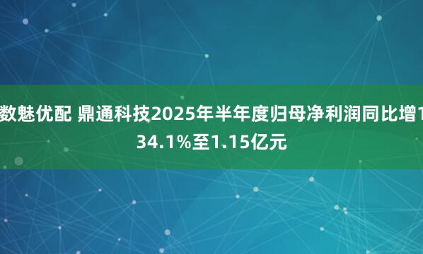 数魅优配 鼎通科技2025年半年度归母净利润同比增134.1%至1.15亿元