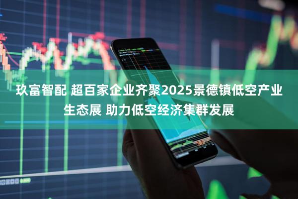 玖富智配 超百家企业齐聚2025景德镇低空产业生态展 助力低空经济集群发展